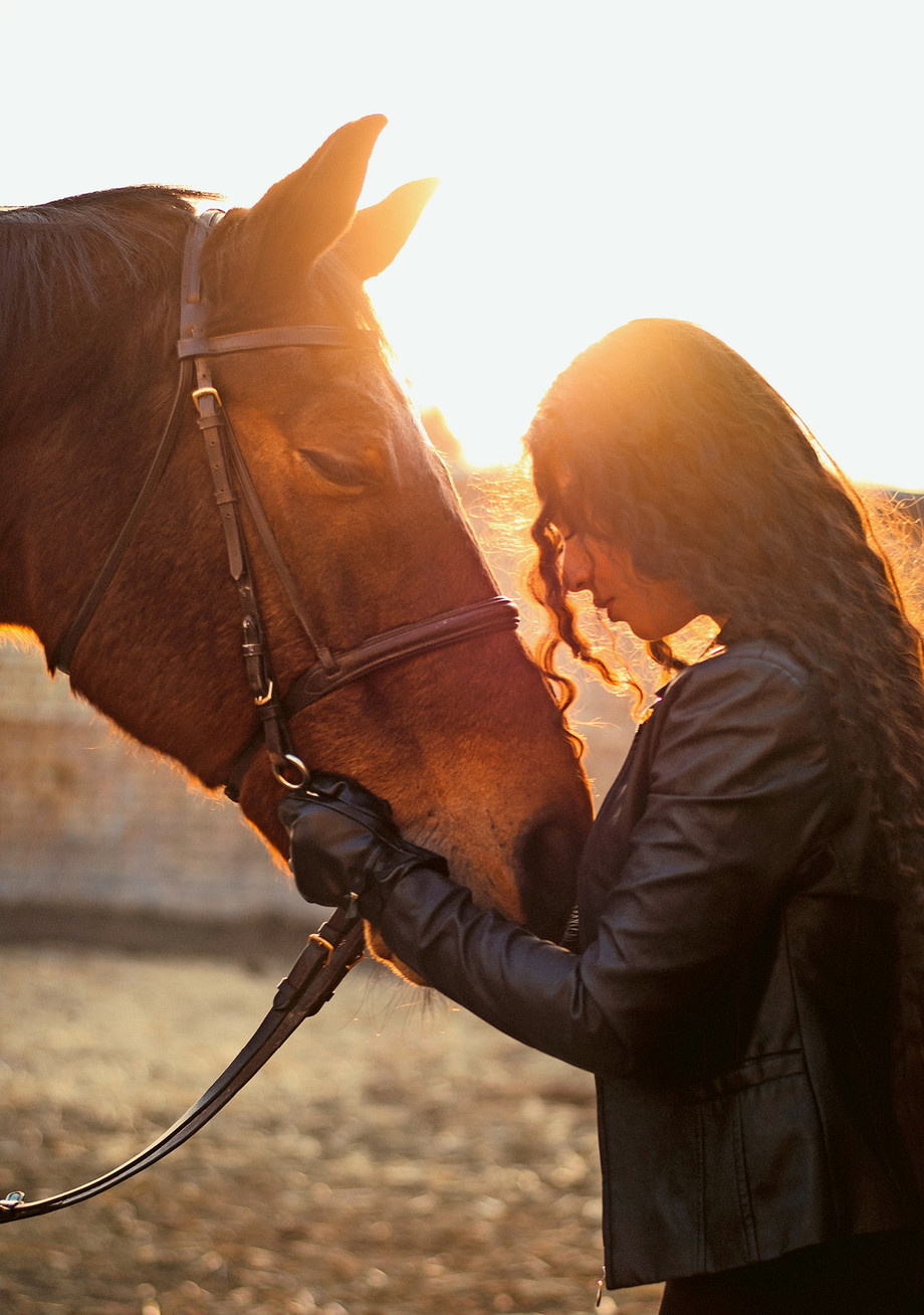 une fille heureuse communique avec son cheval préféré. la fille