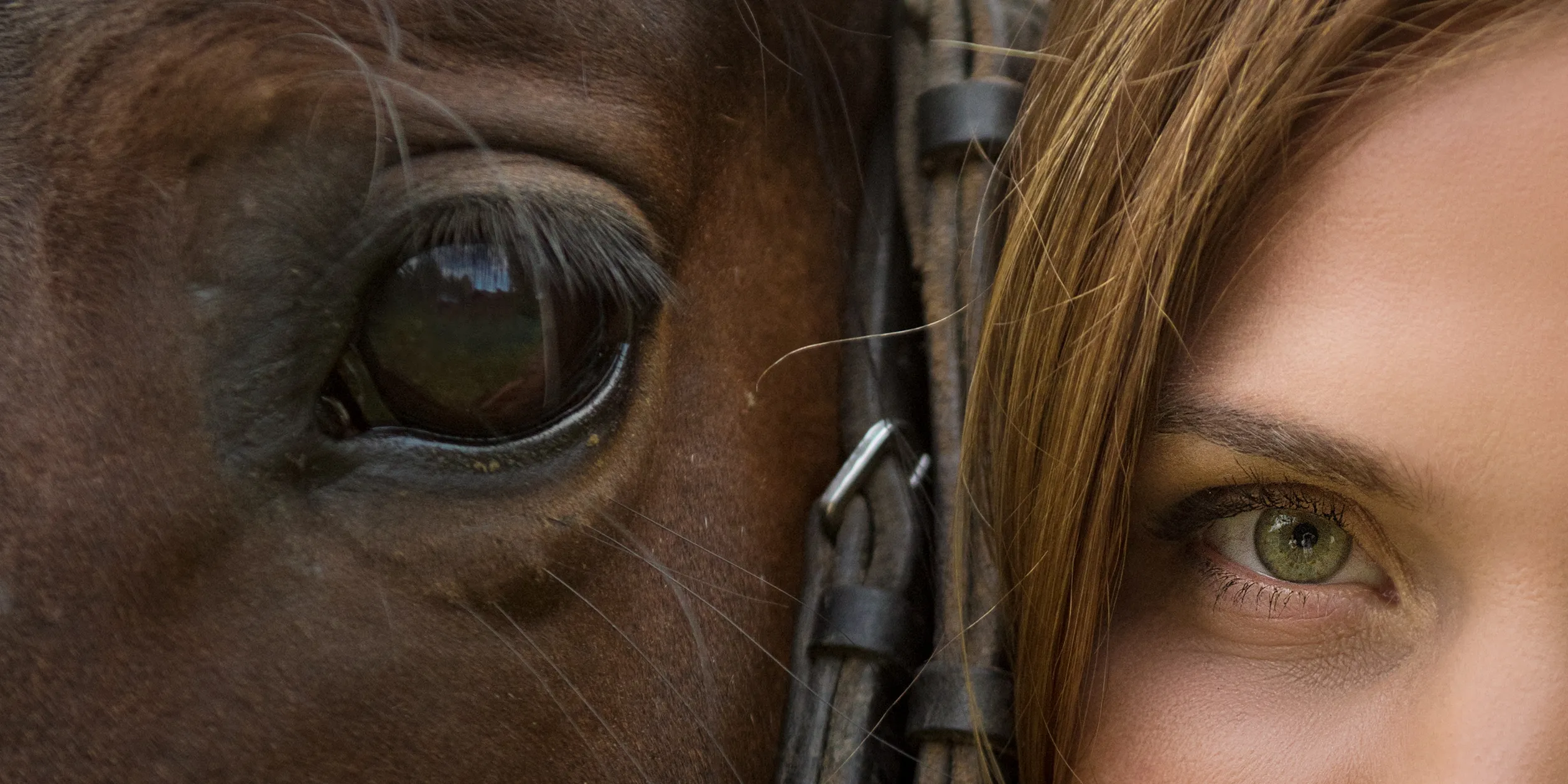 Horse muzzle and woman's face close-up with expressive eyes