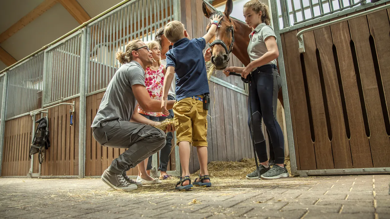 A closeup shot of a Slovenian family petting a brown horse in a stall