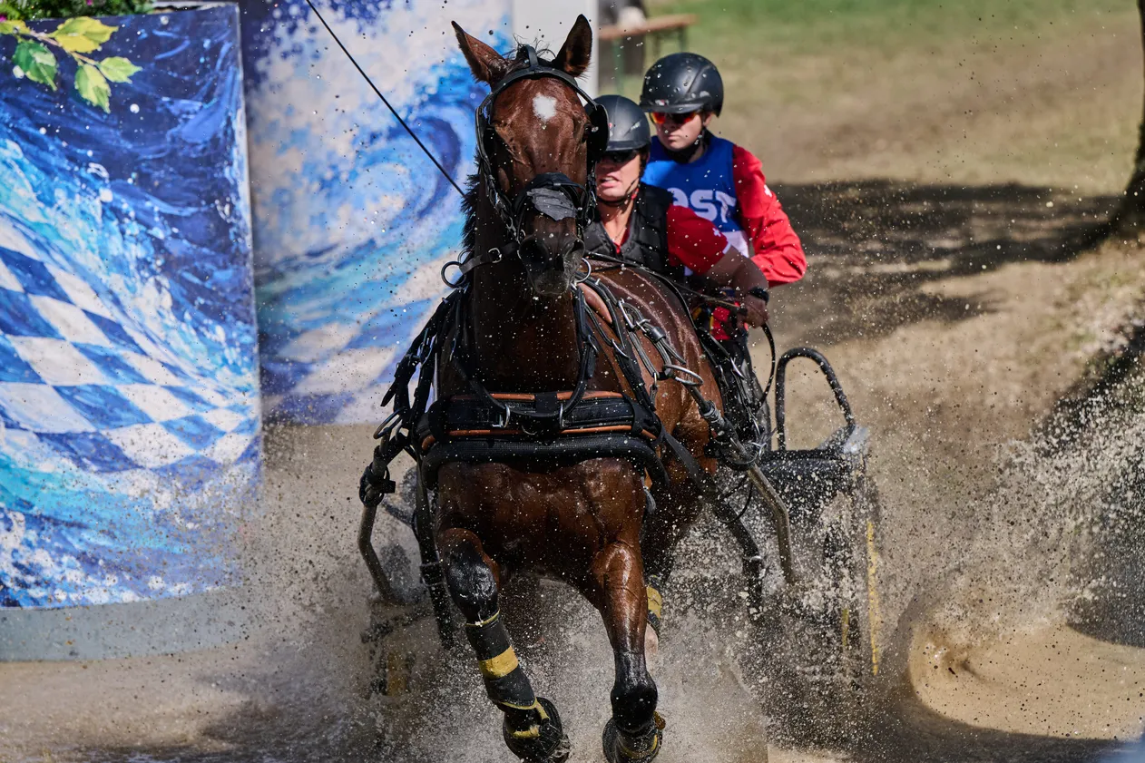 STEFAN ULRICH of Switzerland with BOMBARDIER competes in the marathon at the FEI Driving World Championship Singles in Munich, Germany, September 5, 2026. He leads the overall rankings after two disciplines.