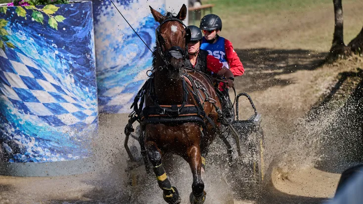 STEFAN ULRICH of Switzerland with BOMBARDIER competes in the marathon at the FEI Driving World Championship Singles in Munich, Germany, September 5, 2026. He leads the overall rankings after two disciplines.