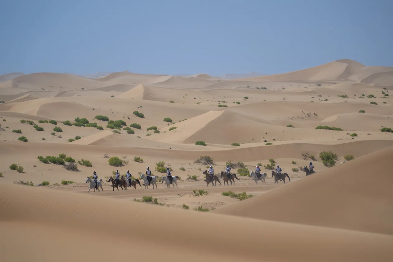 Riders in the desert - FEI Endurance World Championship - Butheeb, United Arab Emirates - 25 February 2023